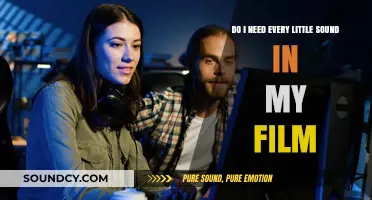 Every Sound Counts: Mastering Audio Essentials in Film Production