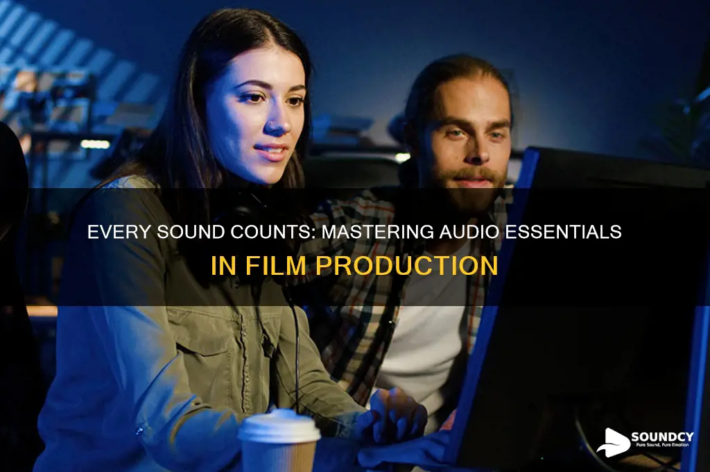 do i need every little sound in my film