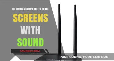 Screen Sharing with Sound: Do You Need a Microphone?