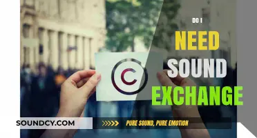 Do I Need SoundExchange? Understanding Music Licensing Requirements