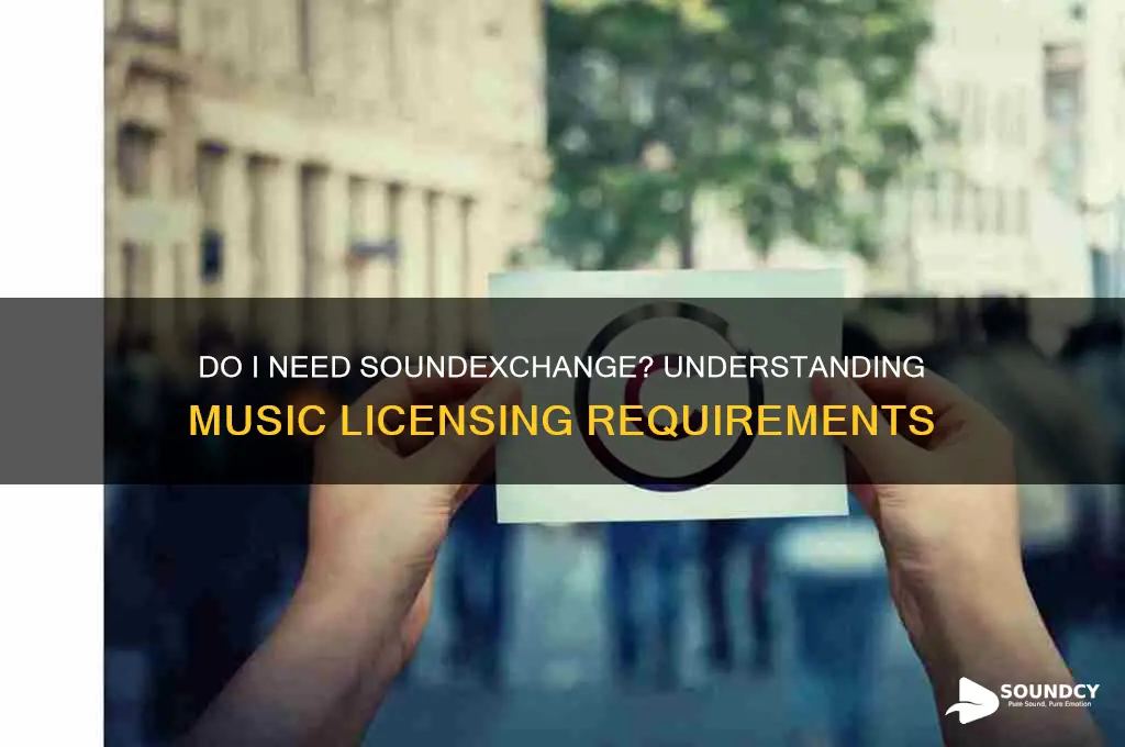 do i need sound exchange