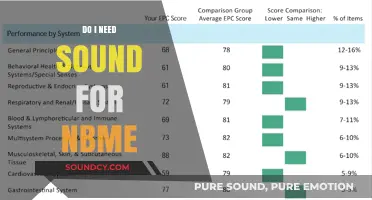 Sound for NBMEs: Help or Hindrance?