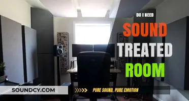Sound Treatment: Necessary or Luxury?