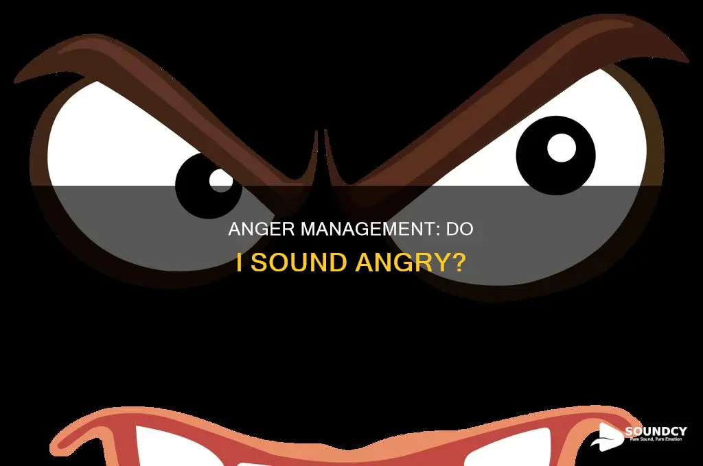 do i sound angry to you