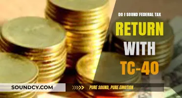 Understanding Federal Tax Returns: TC-40 Filing Guide for Taxpayers