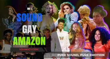 Do I Sound Gay? Amazon's Role in LGBTQ+ Representation and Voices