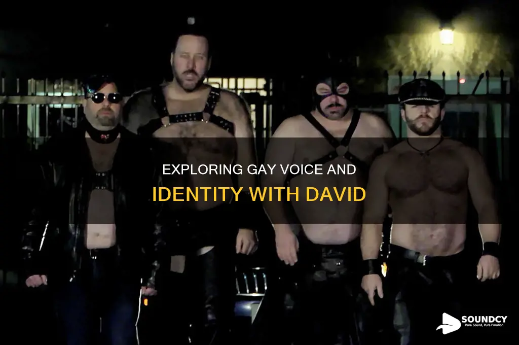do i sound gay by david