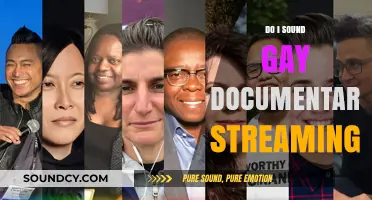 Streaming 'Do I Sound Gay?' Doc: Exploring Queer Voices