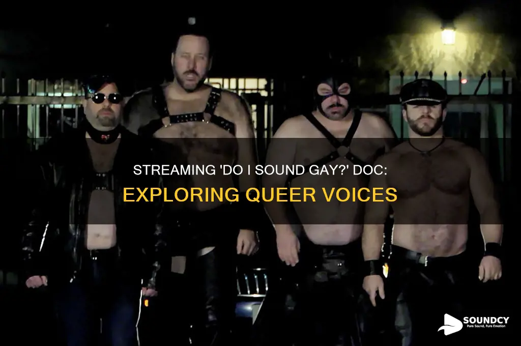 do i sound gay documentary streaming