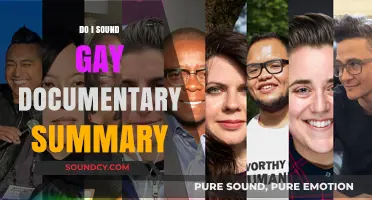 Exploring Gay Speech: 'Do I Sound Gay?