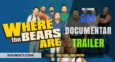Gay Identity: A Personal Journey in "Do I Sound Gay?