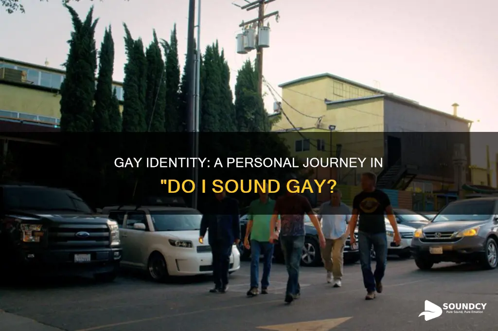 do i sound gay documentary trailer