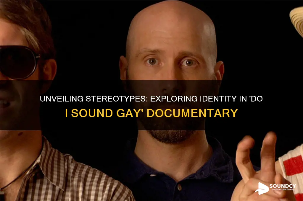 do i sound gay documentary