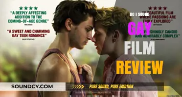 Exploring Gay Speech: 'Do I Sound Gay?' Review