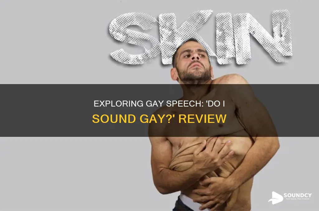 do i sound gay film review