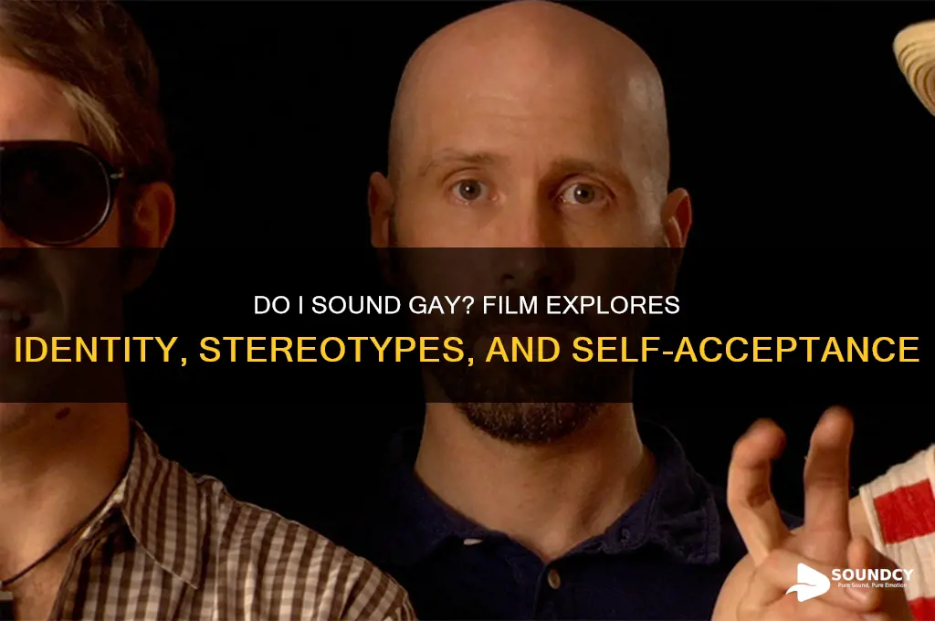 do i sound gay film