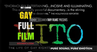 Exploring Gay Identity in "Do I Sound Gay?