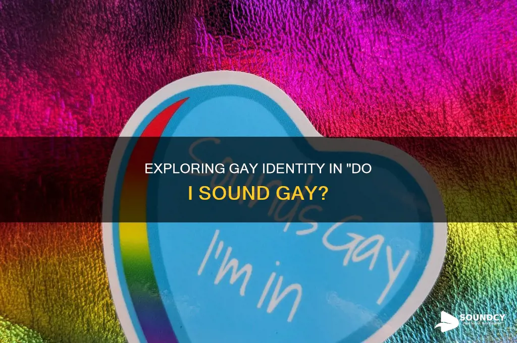 do i sound gay full film