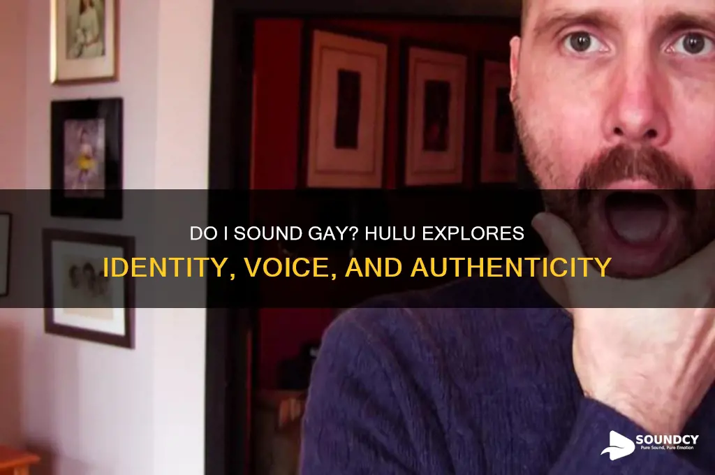 do i sound gay hulu