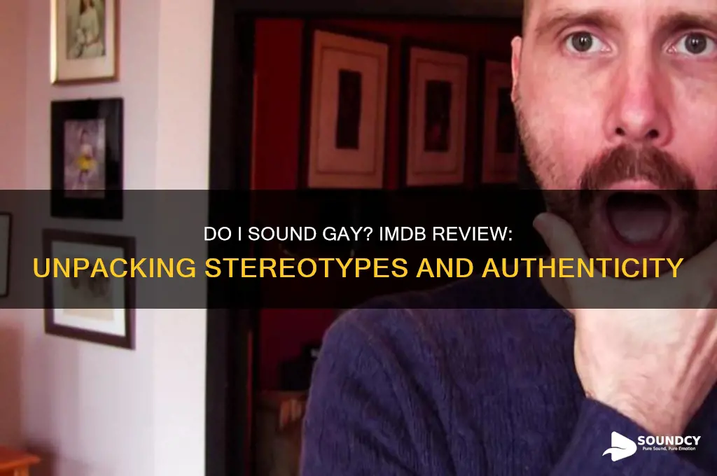 do i sound gay imdb
