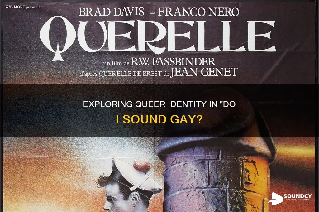 do i sound gay movie questions