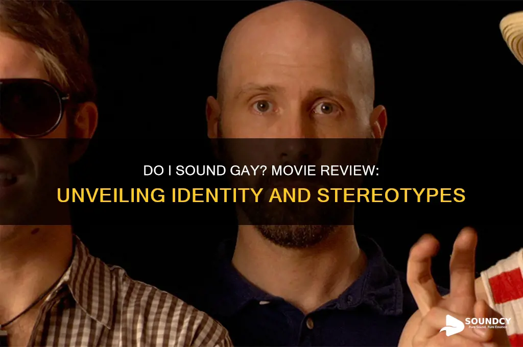 do i sound gay movie