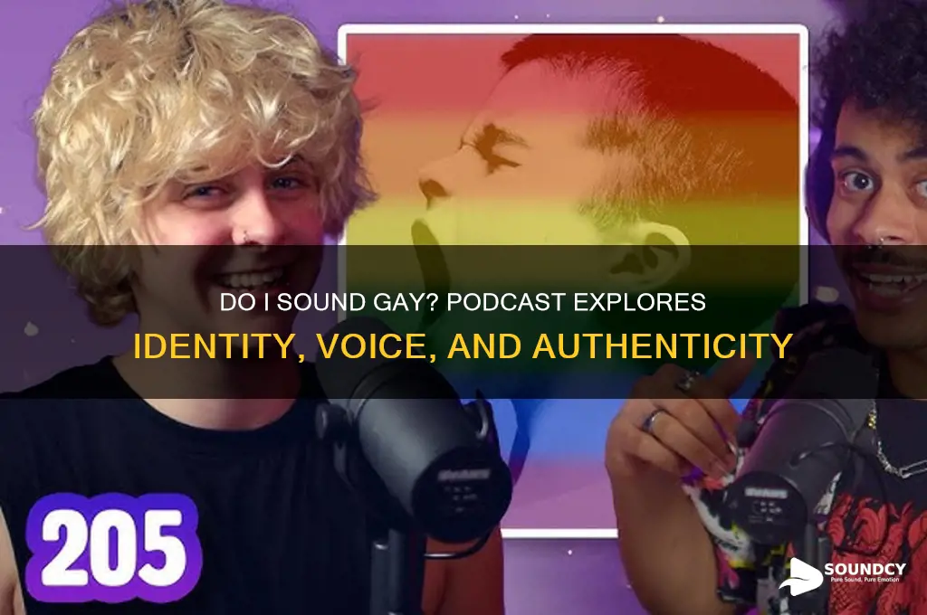 do i sound gay podcast