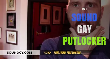 Do I Sound Gay? Putlocker: Exploring Identity and Stereotypes in Film
