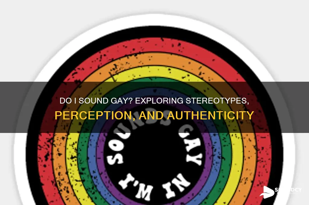 do i sound gay rating