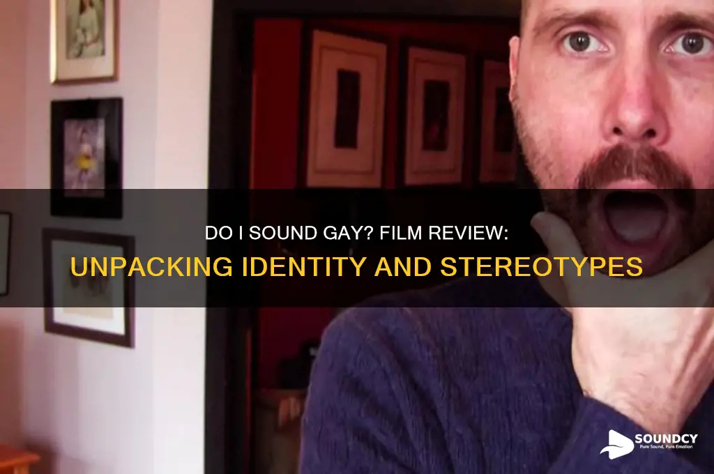 do i sound gay review
