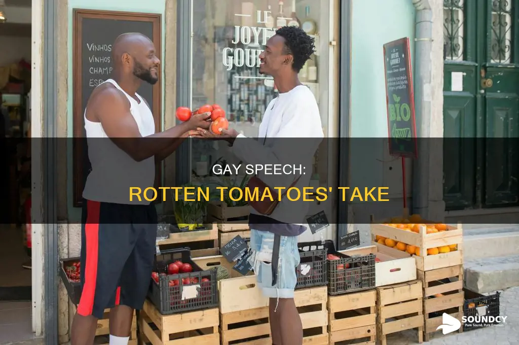 do i sound gay rotten tomatoes