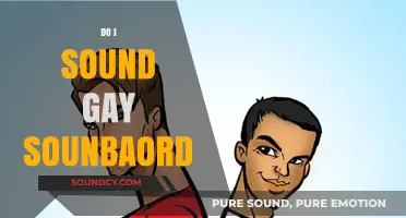 Do I Sound Gay? Exploring Stereotypes with the Soundboard Phenomenon