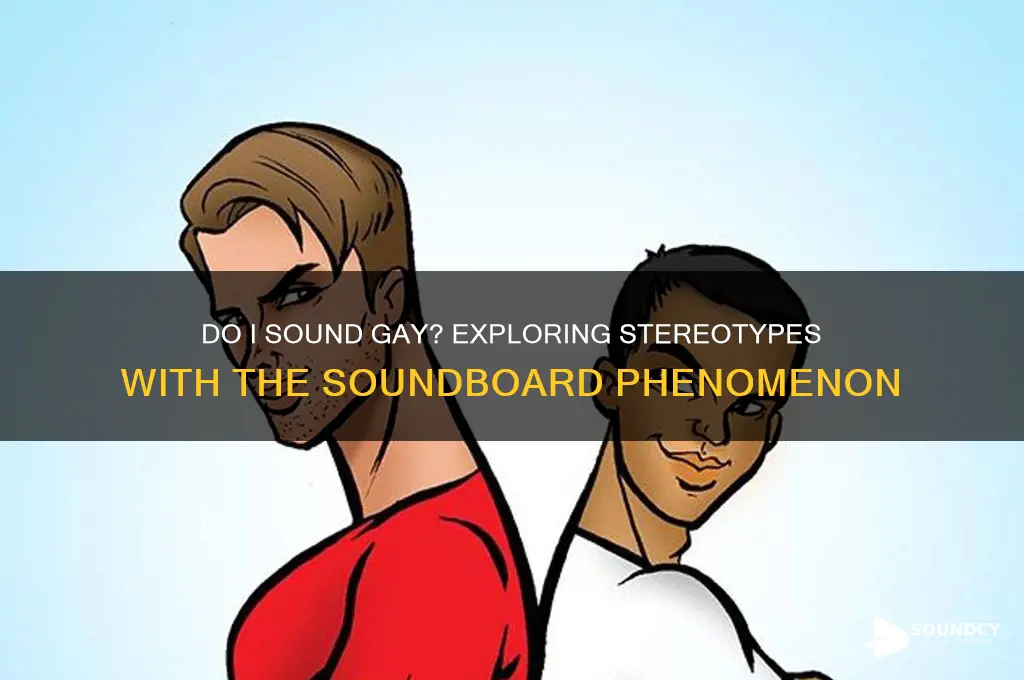 do i sound gay sounbaord