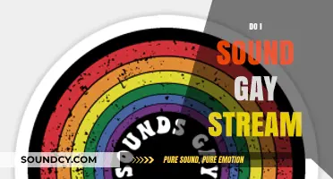 Do I Sound Gay Stream: Exploring Stereotypes, Identity, and Authenticity
