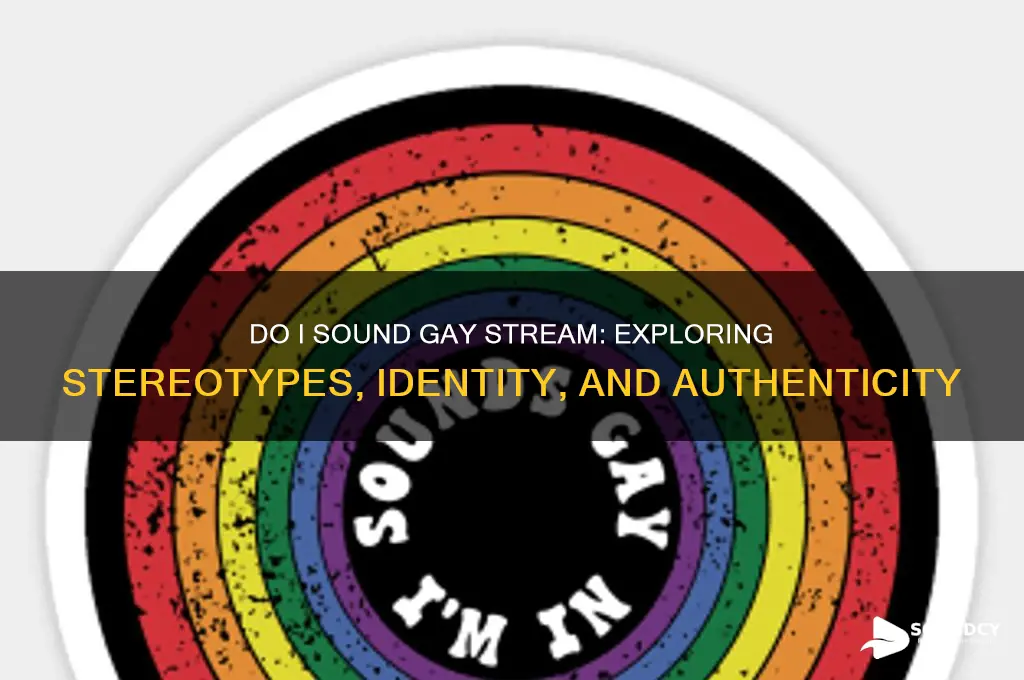 do i sound gay stream