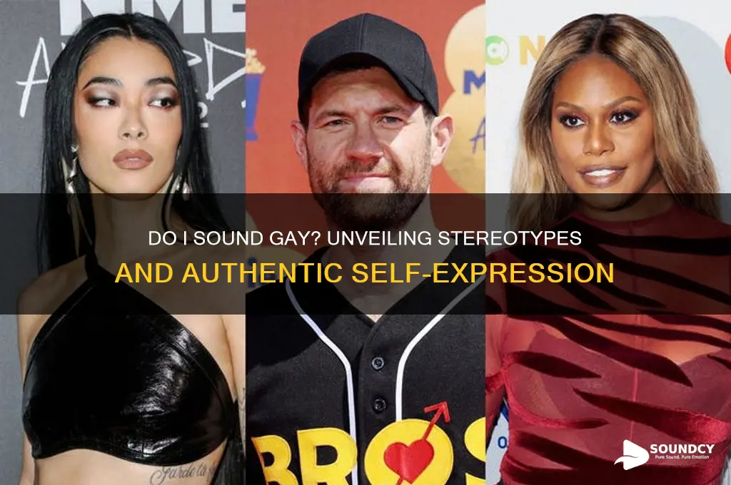do i sound gay summary