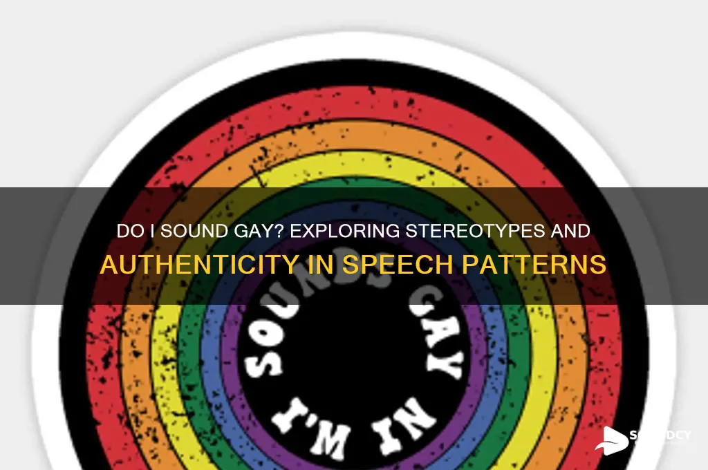 do i sound gay test