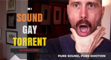 Do I Sound Gay? Torrent: Exploring Identity and Authenticity in Film
