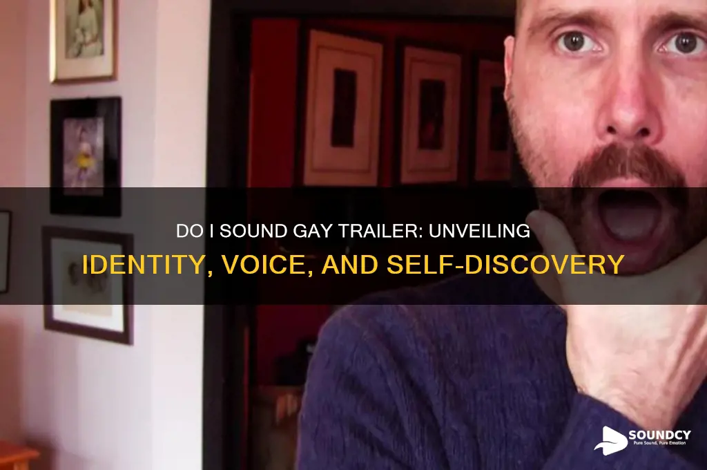 do i sound gay trailer