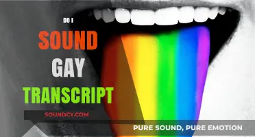 Do I Sound Gay? Transcript Analysis: Unpacking Stereotypes and Identity