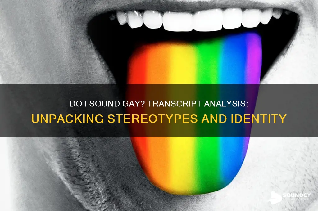 do i sound gay transcript