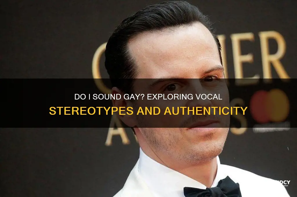 do i sound gay vocals