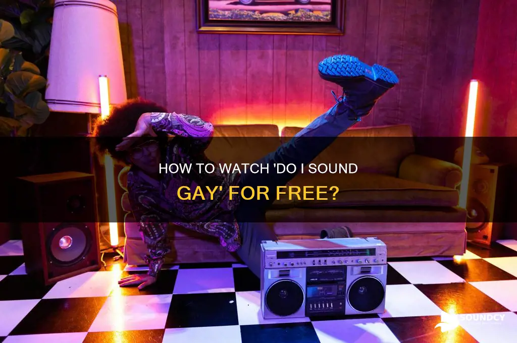 do i sound gay watch free