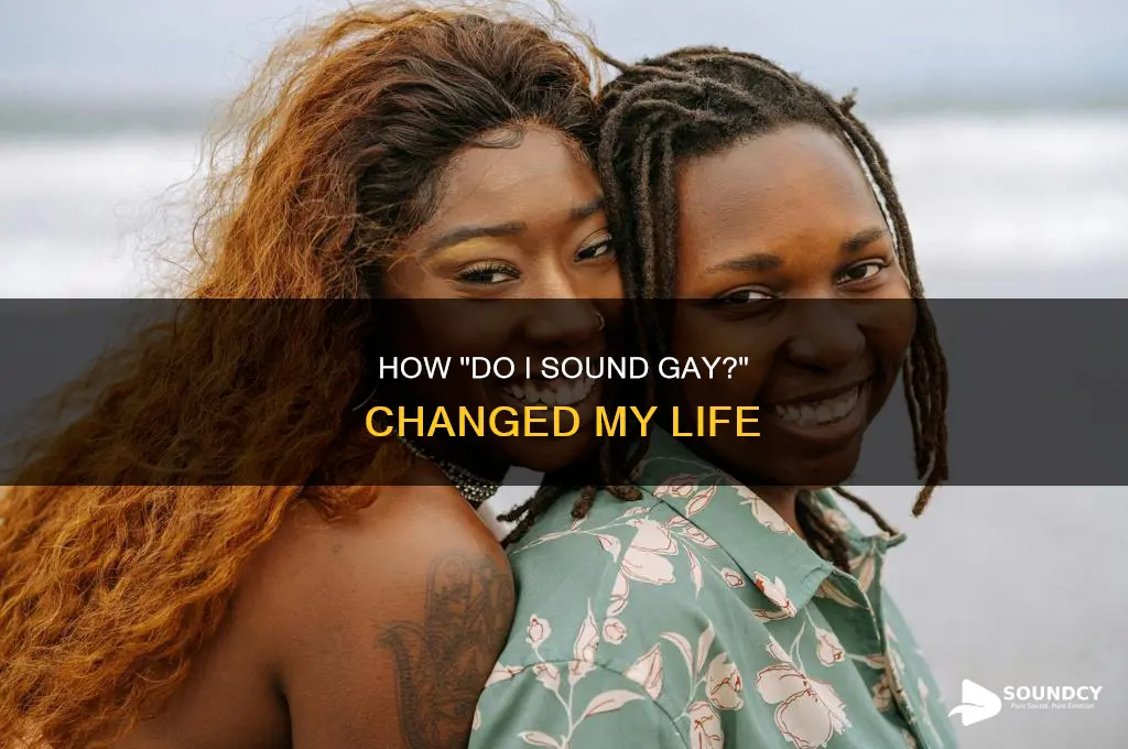 do i sound gay watch full
