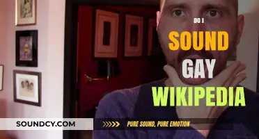 Do I Sound Gay? Wikipedia Entry Explored: Unpacking Stereotypes and Voices