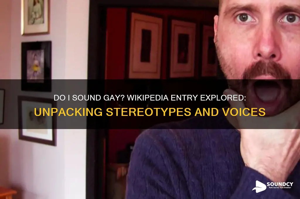 do i sound gay wikipedia