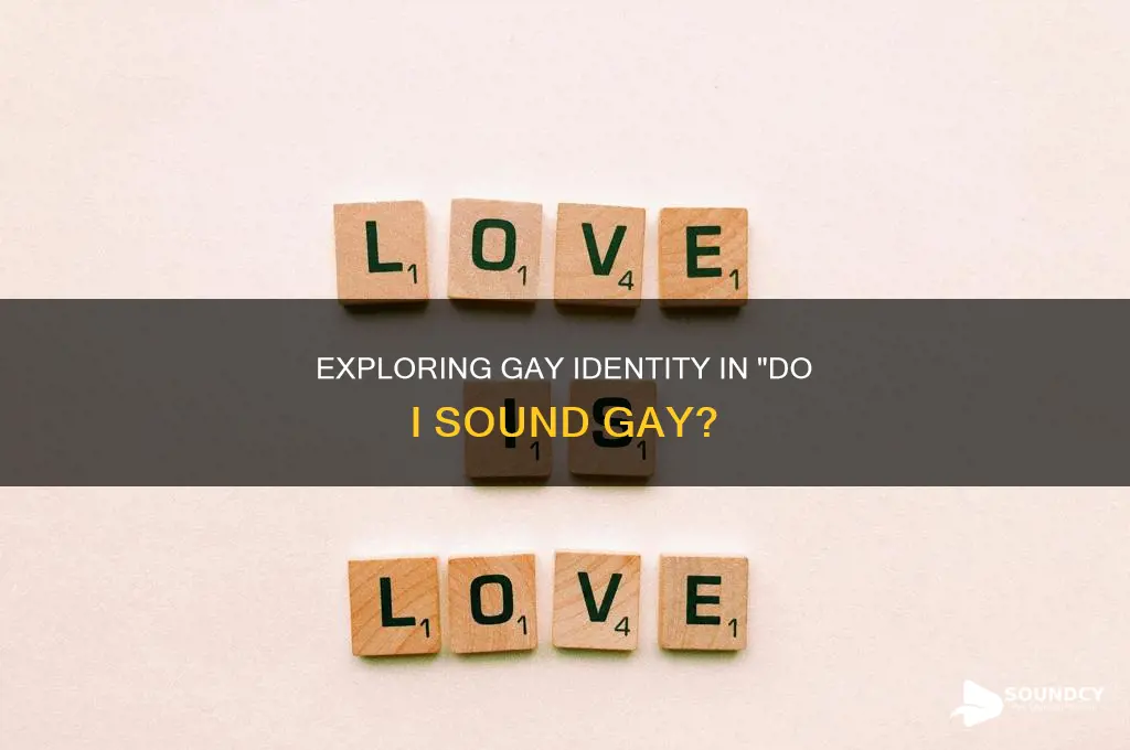 do i sound so gay trailer