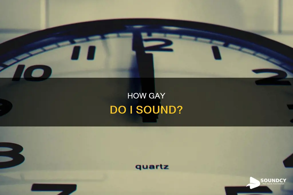 do i sound that fucking gay