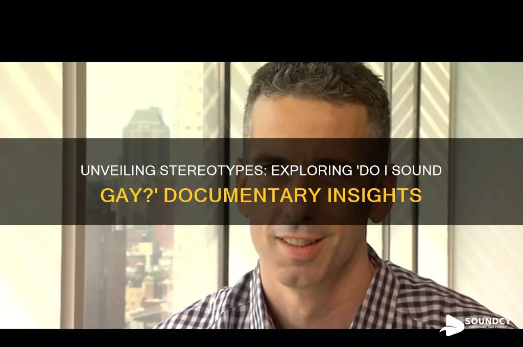 do i sounds gay documentary