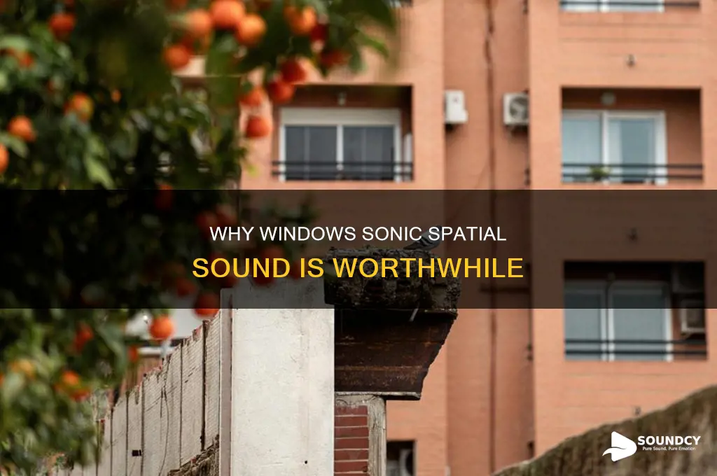 do i want windwos spacial sound